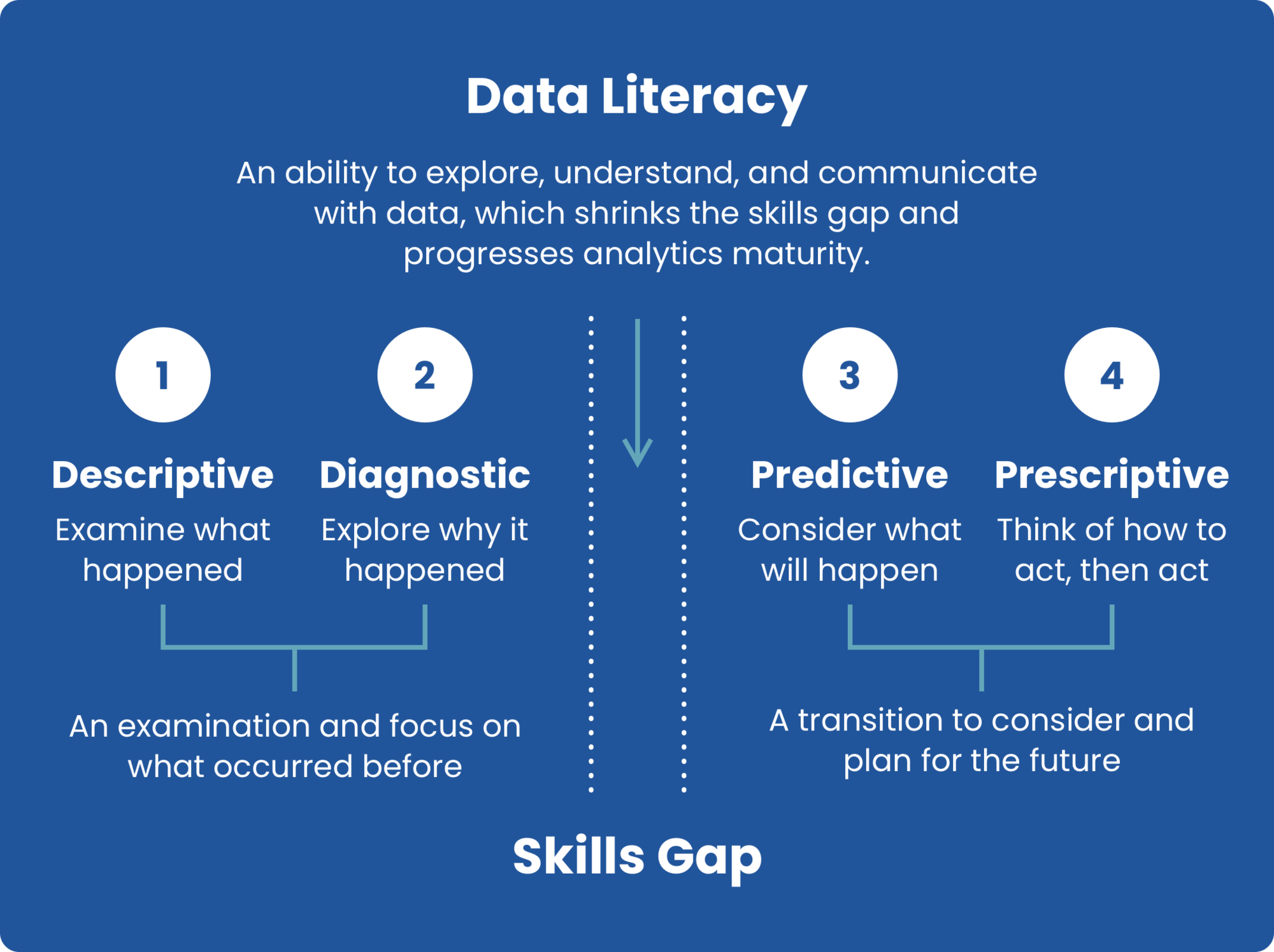 A successful path to data literacy and analytics maturity for all